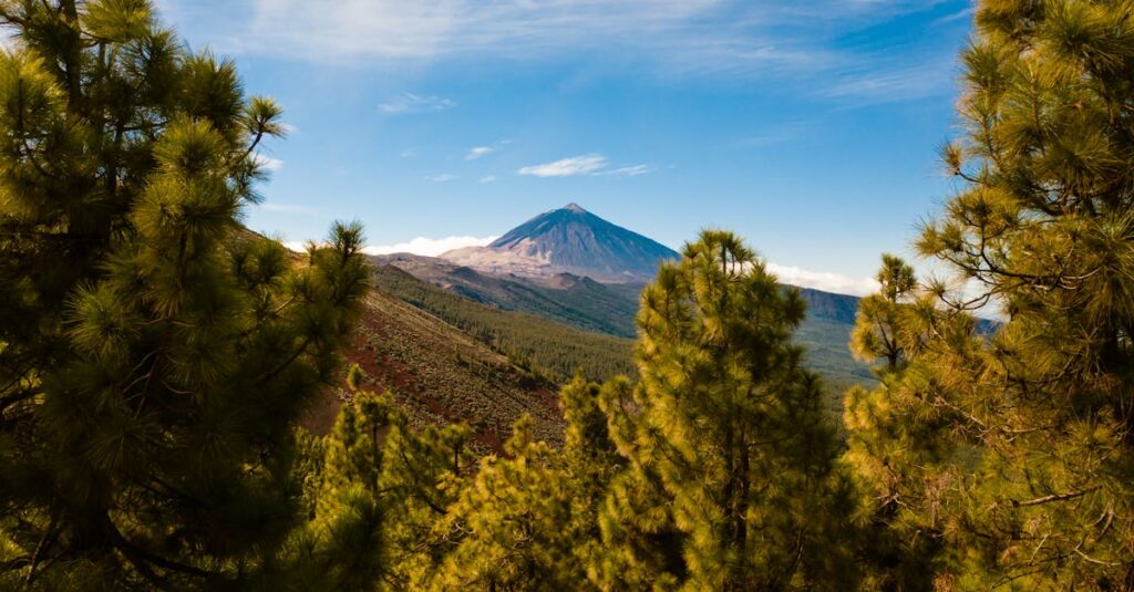 Stunning landscape view of Mount Teide surrounded by lush green trees in Santiago del Teide, Spain.